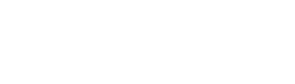 WSI Solution Logo